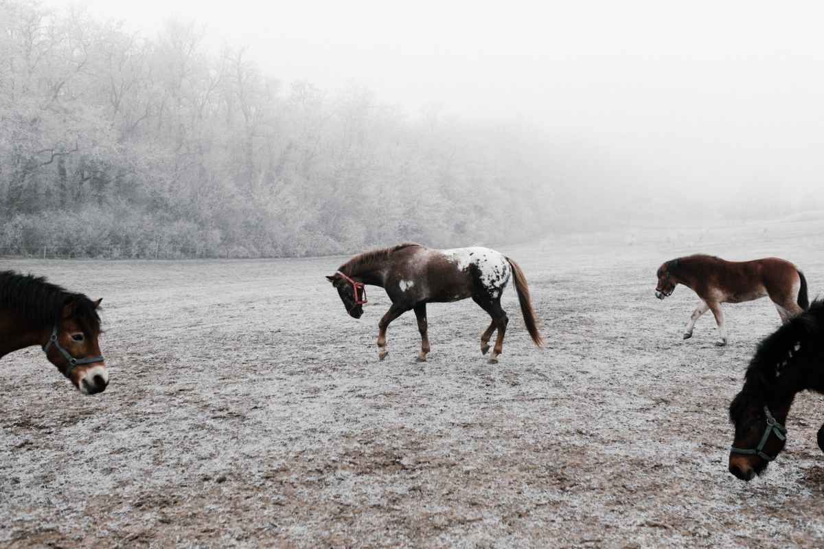 Winter Returns Today – Region Weather