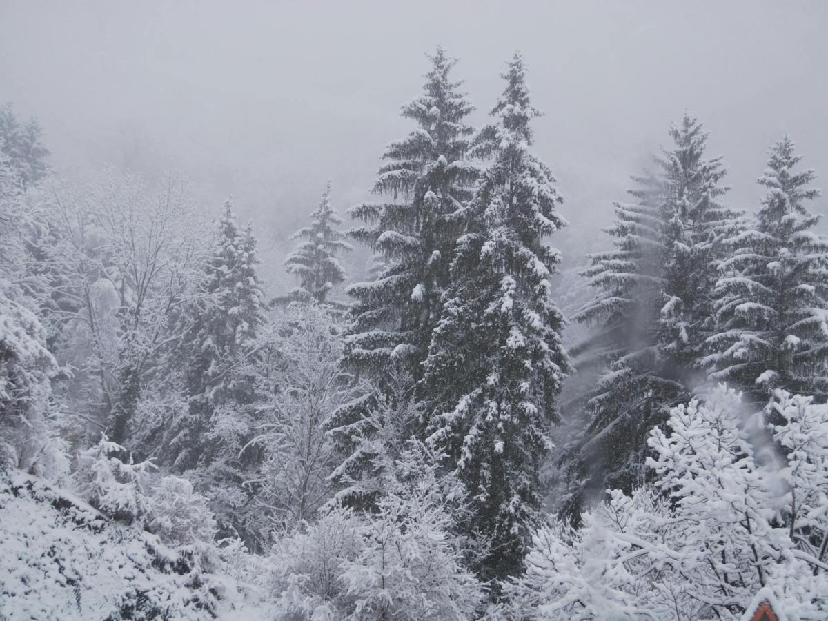 Lake Effect Snow Returns