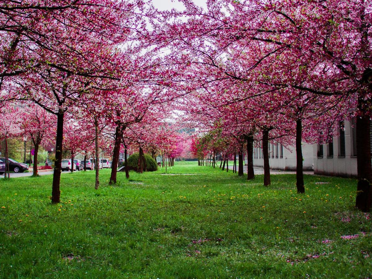 Early Shower Then Clearing Today