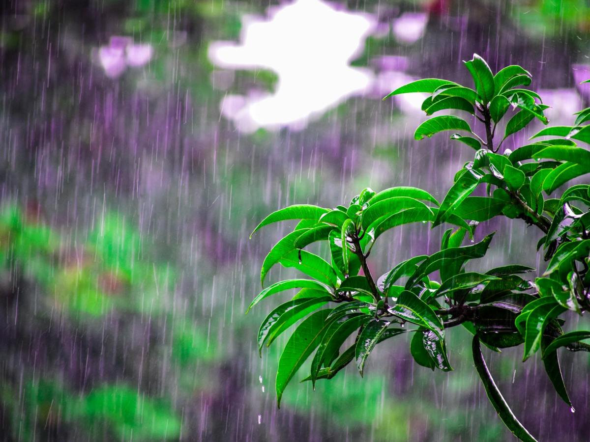 Some Rain Locally, Soaking Rain South Today