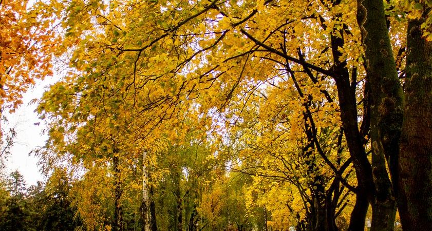 What A Stretch! – Region Weather